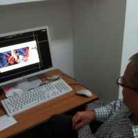 Participare online